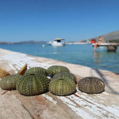 Lägenhet Cvita Trogir