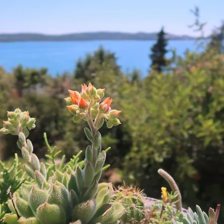 Cvita Lägenhet Trogir