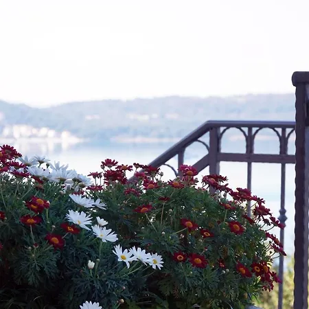 Apartment Cvita Trogir