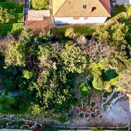 Apartment Cvita Trogir