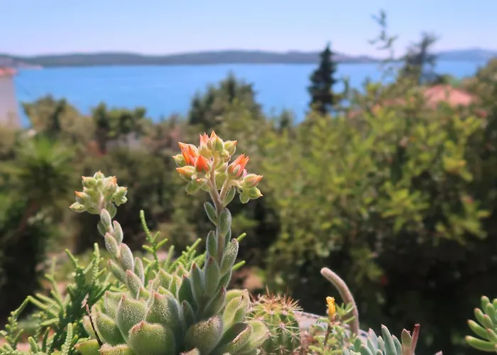 Cvita Apartman Trogir