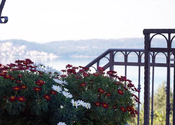 Apartmán Cvita Trogir