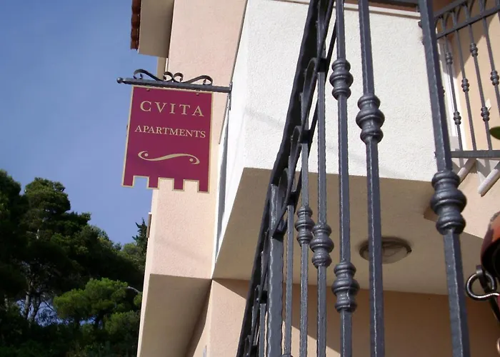 Daire Cvita *