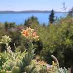 Cvita Apartmán Trogir