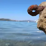 Apartmán Cvita *