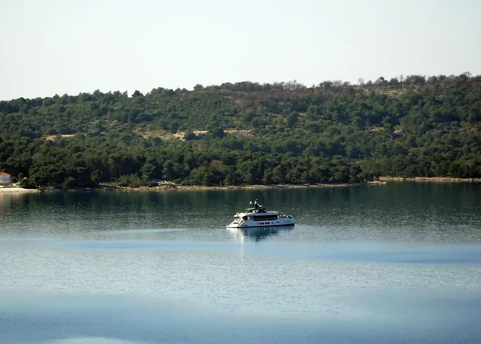 Cvita Trogir