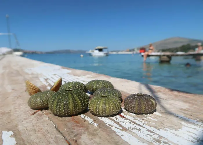 Lejlighed Cvita Trogir